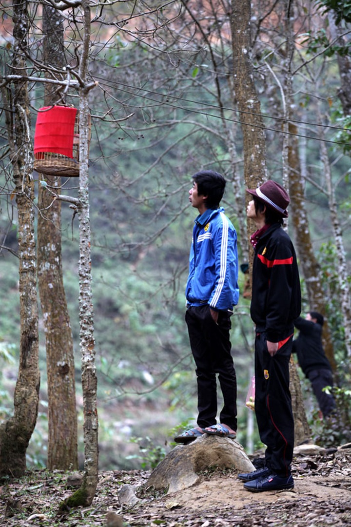 Sweet sounds of Lao Cai Province bird market - 8