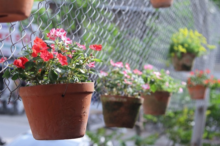 Special bus café in Hanoi - 9