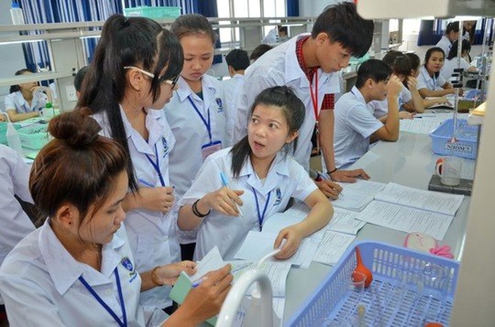 “Degree inflation” reaches alarming level in Vietnam - 1