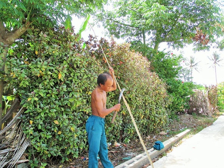 Touring the An Binh Islands by boat - 9 Touring the An Binh Islands by boat - 9