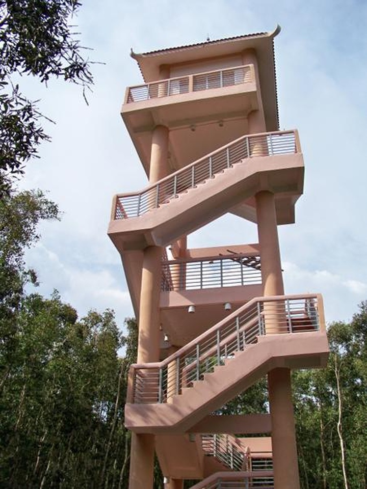 The longest path through the melaleuca forest of Vietnam - 3