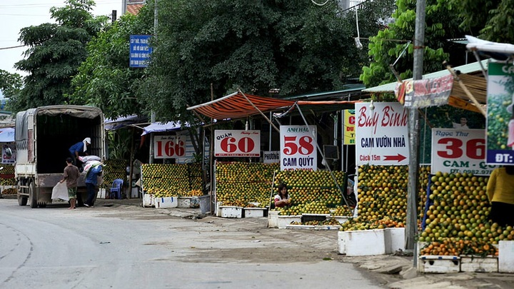 Oranges bring in juicy profits for farmers - 1