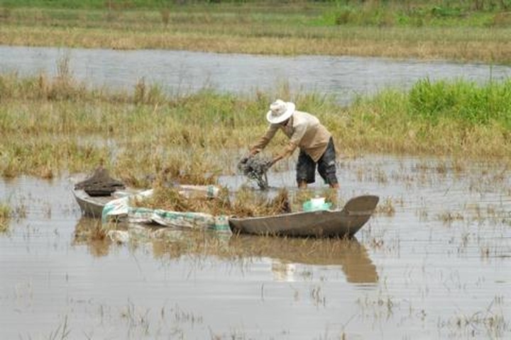 Overexploited rivers dying - 1