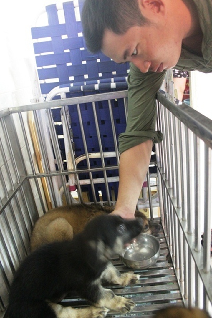 Young woman runs foster home for neglected animals - 8 Young woman runs foster home for neglected animals - 8