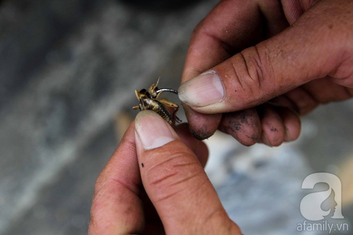 HCM City people fish on the street - 4