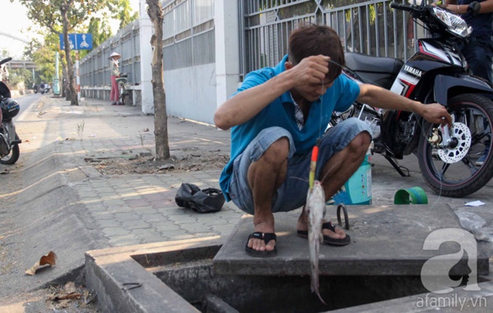 HCM City people fish on the street - 5
