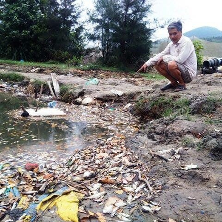 Vung Ang Industrial Zone blamed for gigantic marine pollution - 1 Vung Ang Industrial Zone blamed for gigantic marine pollution - 1