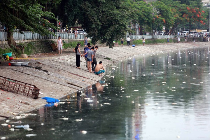 Tonnes of fish die in Hanoi lake - 3