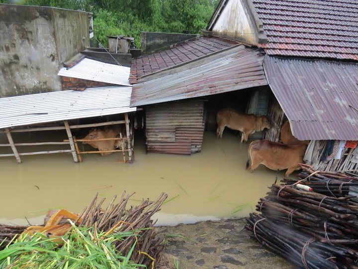15 killed in floods in central and Central Highlands regions - 2