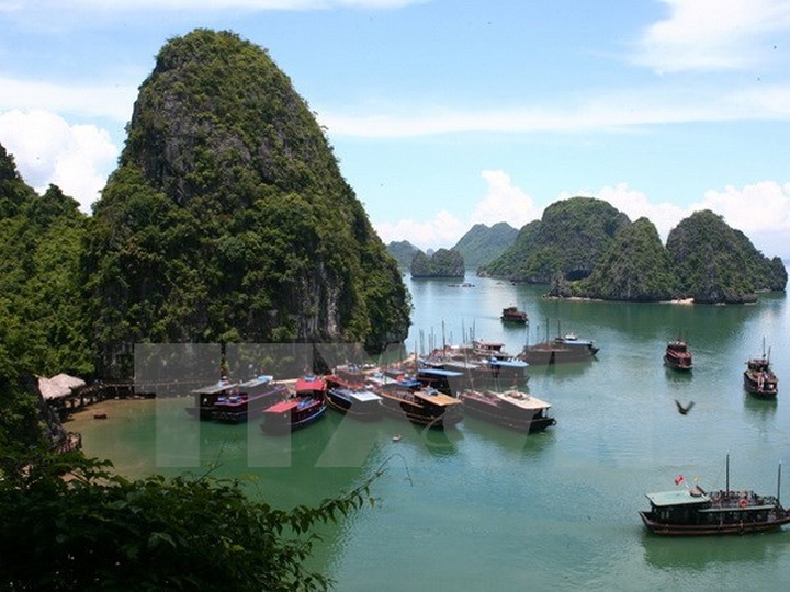 Quang Ninh develops high-quality tourism services on Ha Long Bay - 1