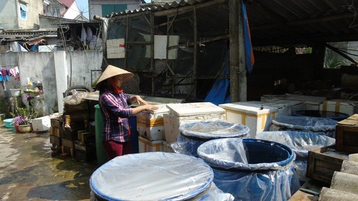 Seafood traders still count cost of Formosa disaster - 2