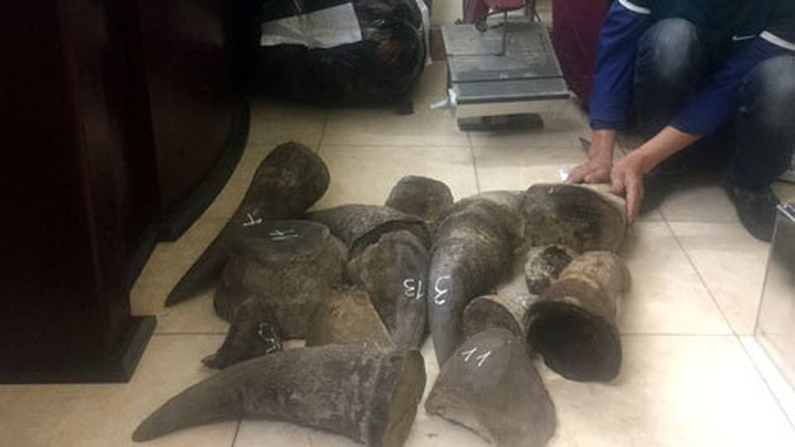 Two men prosecuted for trading wild animal products - 3