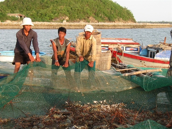 Vietnam Fisheries Association opposes mud dumping for power project - 1