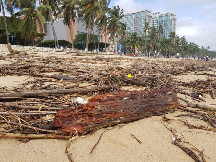 Nha Trang Beach covered in driftwood after rains - 3