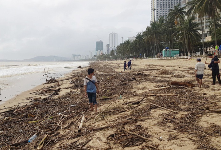 Nha Trang Beach covered in driftwood after rains - 1