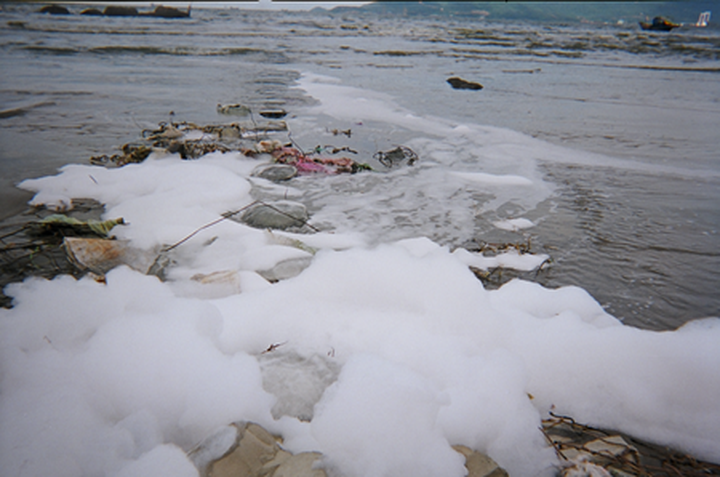 Vietnam looks to lessen toxic chemical use - 1