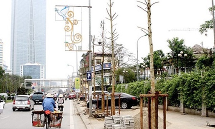 Lack of details led to tree rallies: inspectors - 1