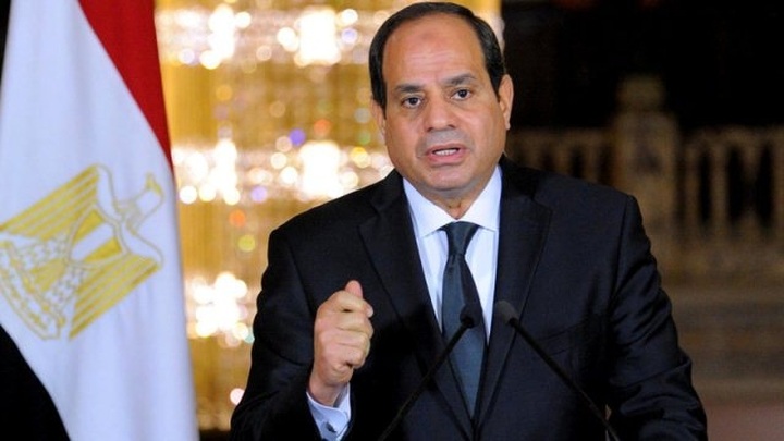Egyptian President to pay State visit to Vietnam - 1