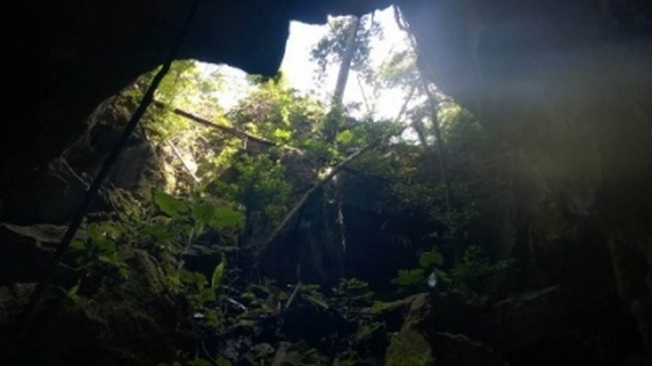 New cave discovered in Cha Noi forest - 1 New cave discovered in Cha Noi forest - 1