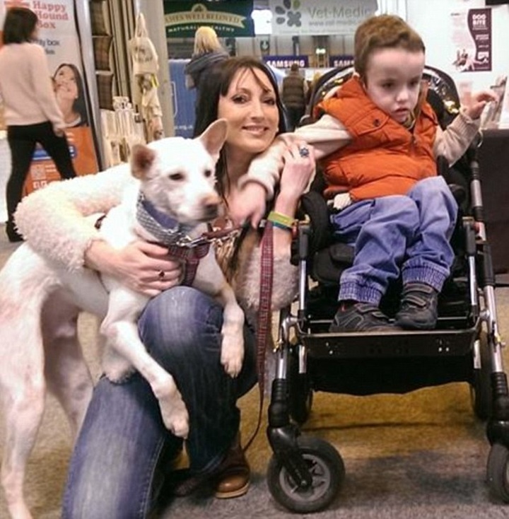 Dog wins Crufts award after transforming life of the autistic son of woman who saved him - 2