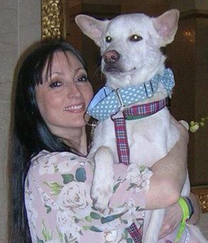 Dog wins Crufts award after transforming life of the autistic son of woman who saved him - 3