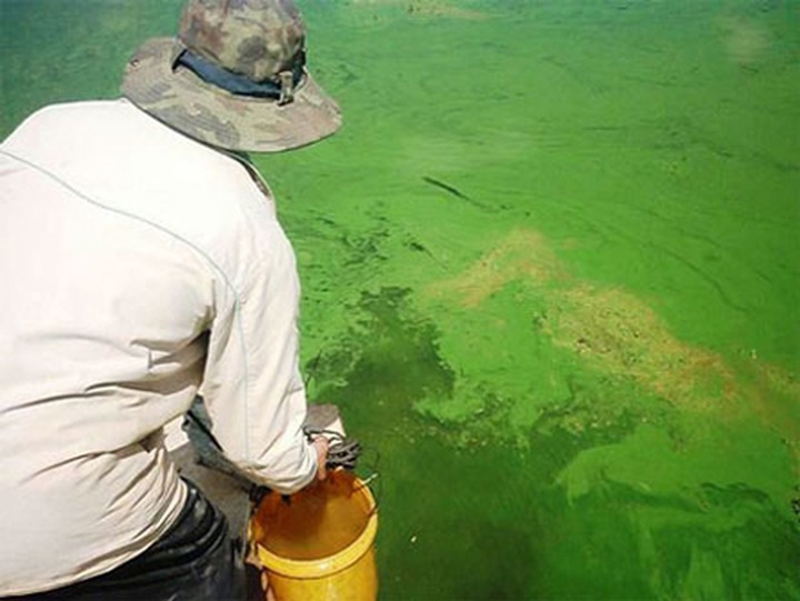 Dalat's Tuyen Lam Lake at risk - 1