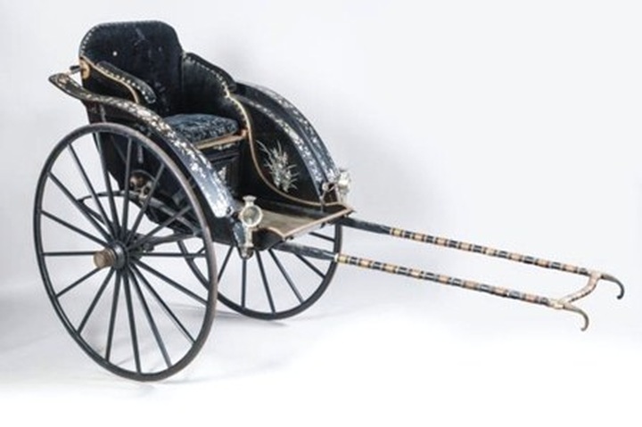 Royal rickshaw comes home, to be displayed in central Vietnam - 1