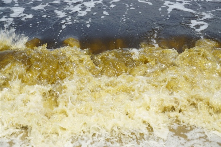 Danang sea turns black - 1