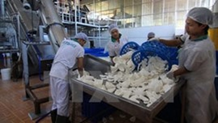 WB keeps Vietnam’s GDP growth at 5.6% in 2015 - 1