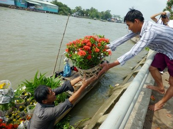 Sa Dec flower village blossoms in spring - 2