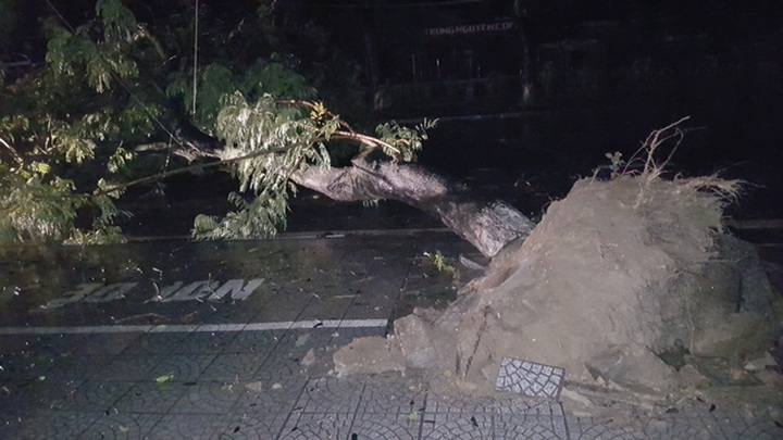 One person killed, one missing in heavy rains in Hue - 1