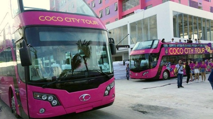 Open double-decker bus debuts in Da Nang - 1