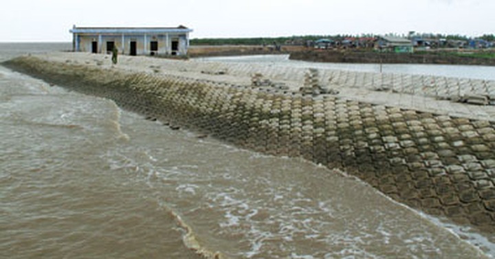 Ca Mau attempts to shore up dykes - 1