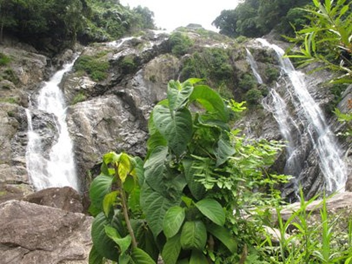 White Waterfall - longhair fairy awaits tourists’ footprints - 2