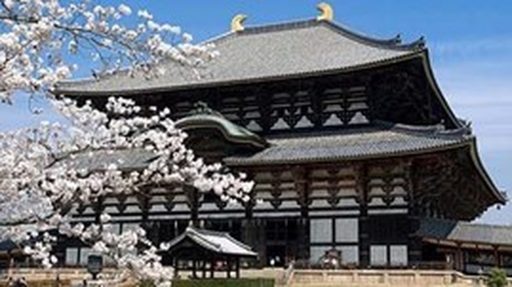 Japan offers free training for teachers and students - 1