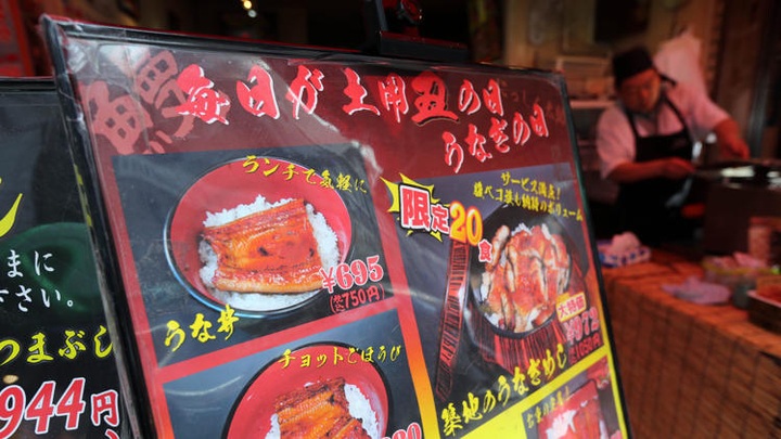 Endangered delicacy: Japan eel on species red list - 1