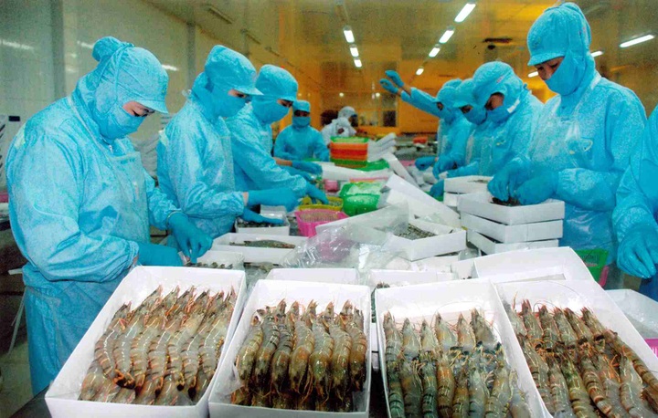 Vietnam faces USD10bn shrimp export challenge - 1 Vietnam faces USD10bn shrimp export challenge - 1