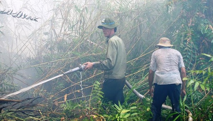 U Minh Ha forest faces fire risk - 1