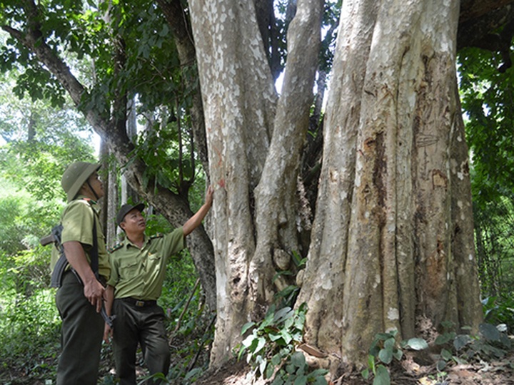National parks threatened by hydropower plants - 1
