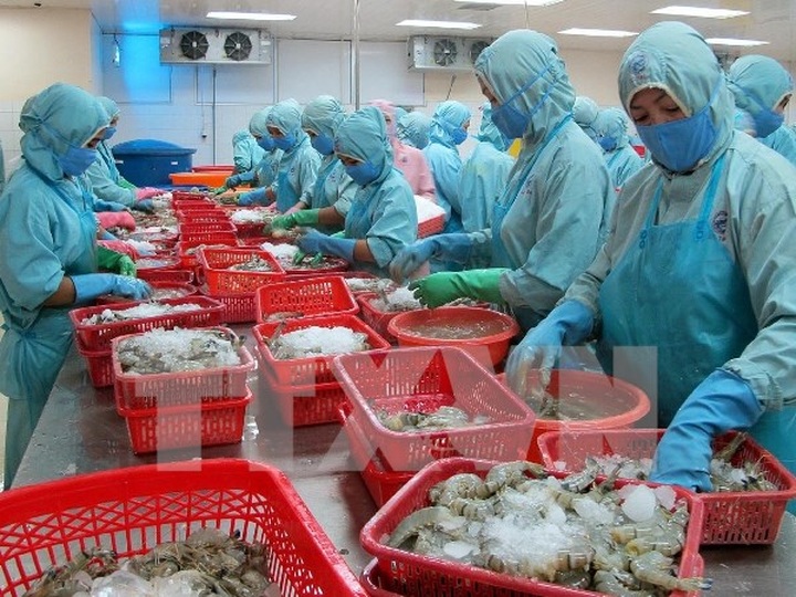 Food safety vital to win EU market - 1