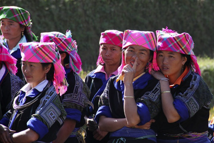 Farming competition at Mu Cang Chai terraced field - 4