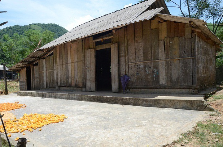 Poor ethnic minority boy in leukaemia battle - 2 Poor ethnic minority boy in leukaemia battle - 2