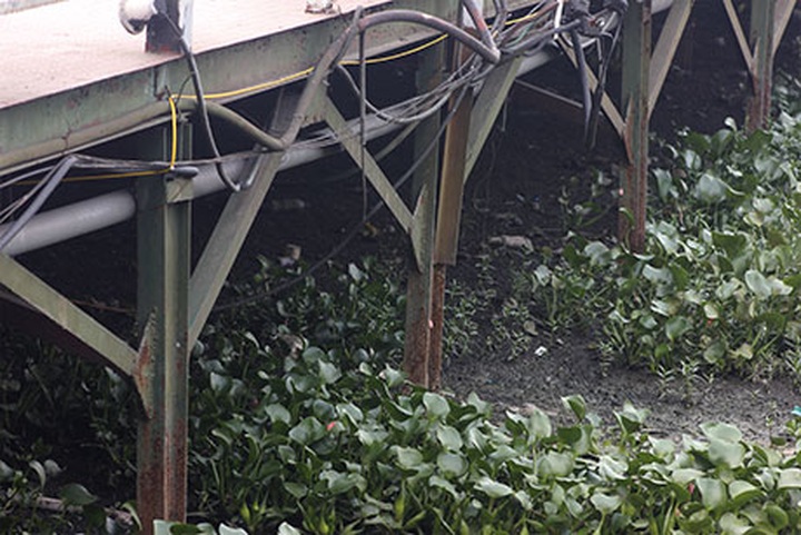 Proliferation of restaurants around West Lake causes pollution - 4 Proliferation of restaurants around West Lake causes pollution - 4