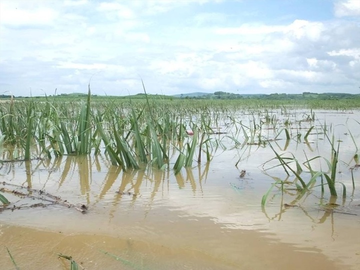 Hundreds evacuated in Thanh Hoa flood - 5