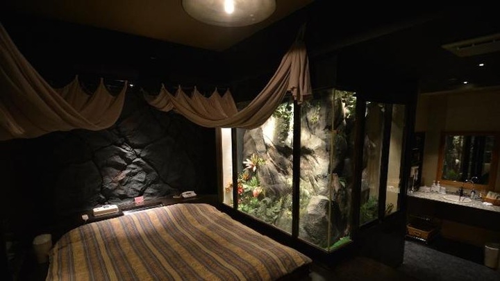 Japan's Love Hotels see business booming - 1