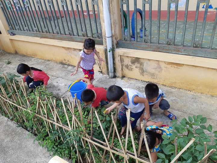 New school year ceremony at Dantri/DTiNews classrooms - 3 New school year ceremony at Dantri/DTiNews classrooms - 3