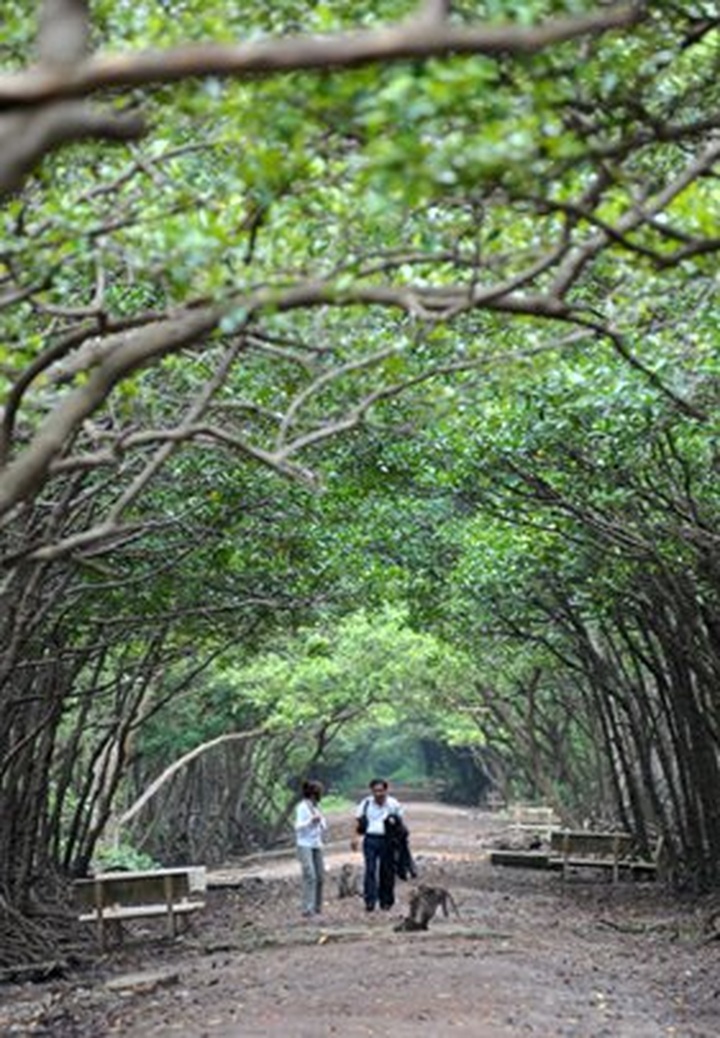 Sac Forest - legendary military base in past - 4