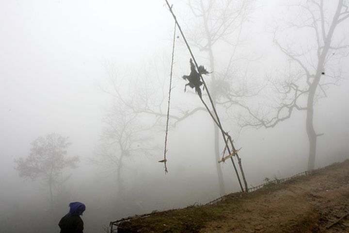 Y Ty "cloud nine" for Valentine visitors - 5