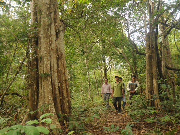 Hydropower plant to swallow national park - 1