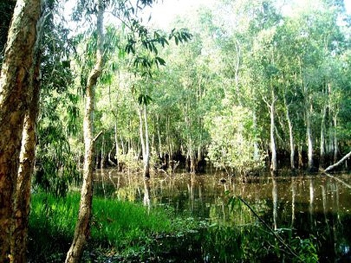 Going fishing in U Minh Thuong - 1 Going fishing in U Minh Thuong - 1